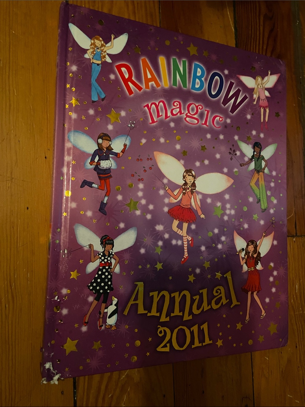 Rainbow Magic Purple Fairy book Fairies craft crafts activities activity Magical